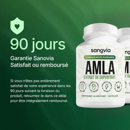 Amla Extrait de Superfruit