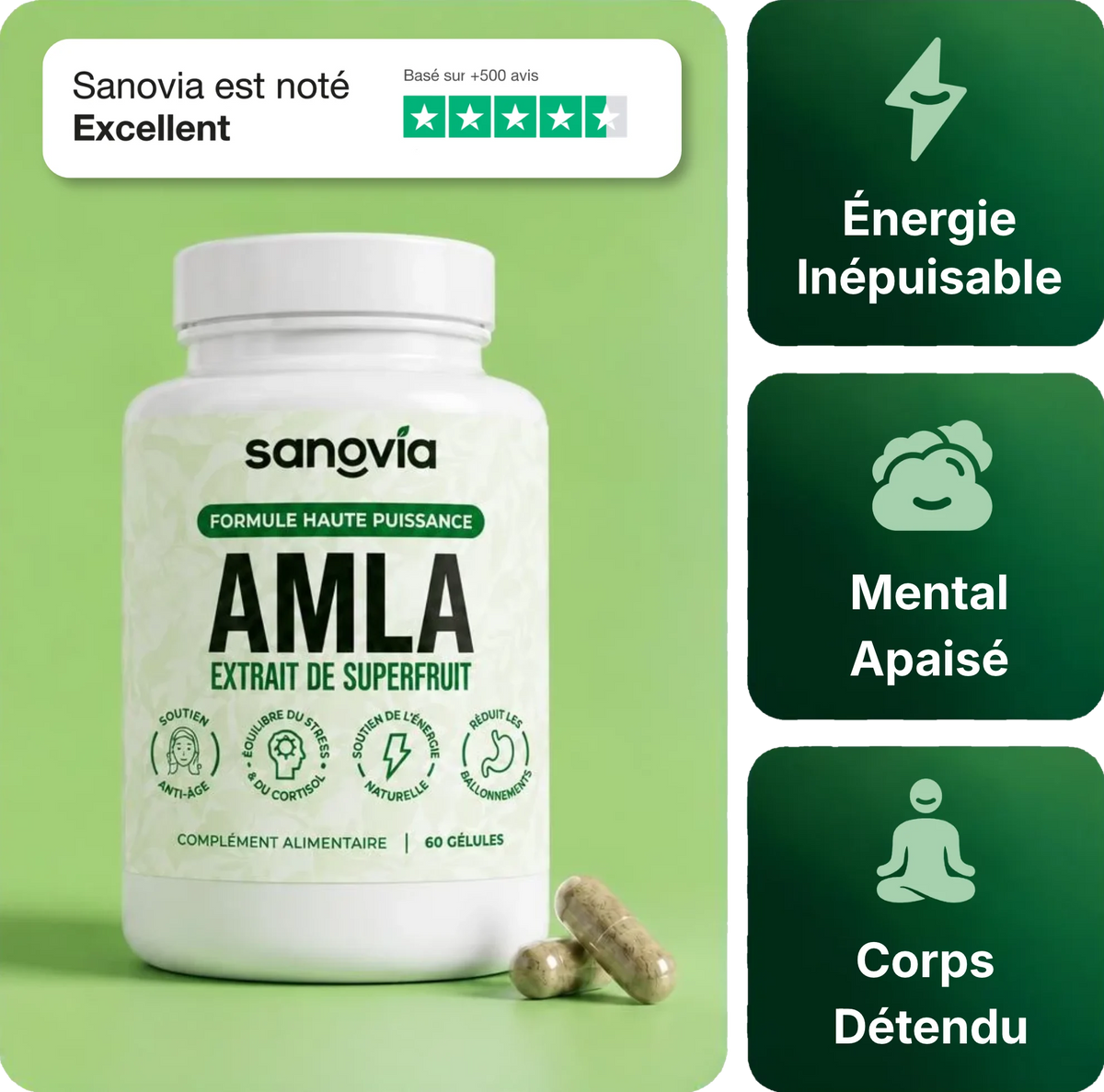 Amla Extrait de Superfruit