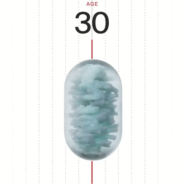 Capsule de mitochondries